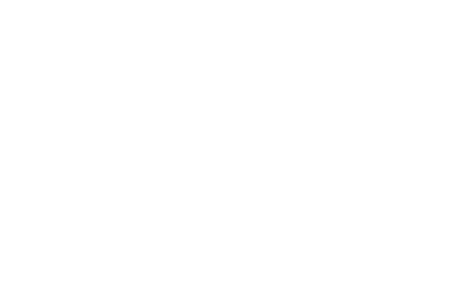 秋田犬1
