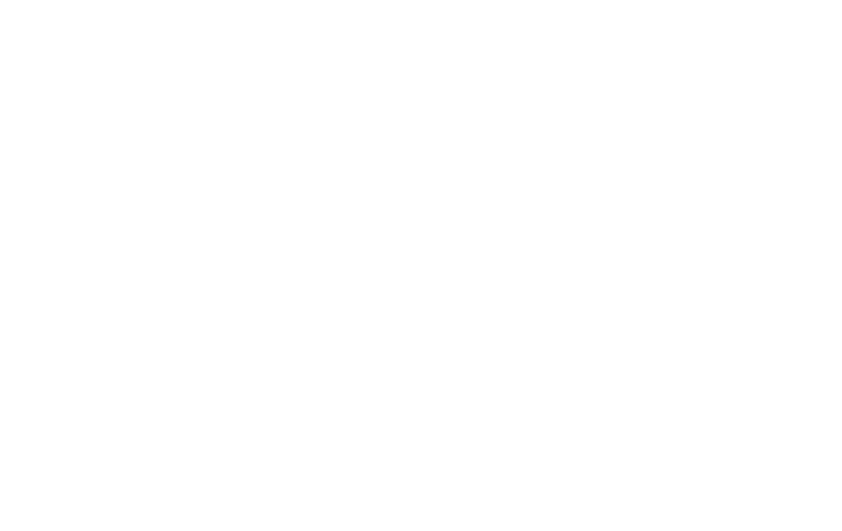 秋田犬2