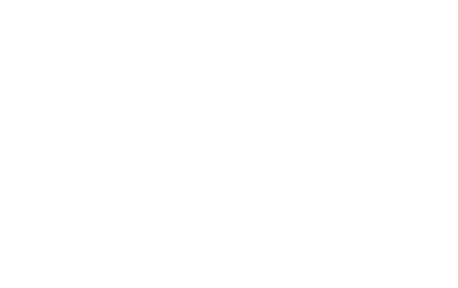 秋田犬3