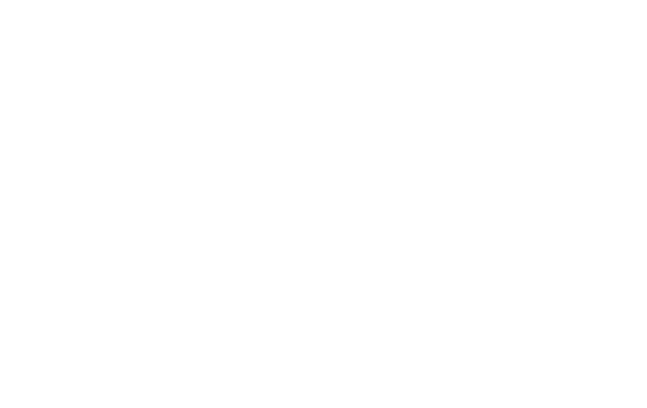 秋田犬4