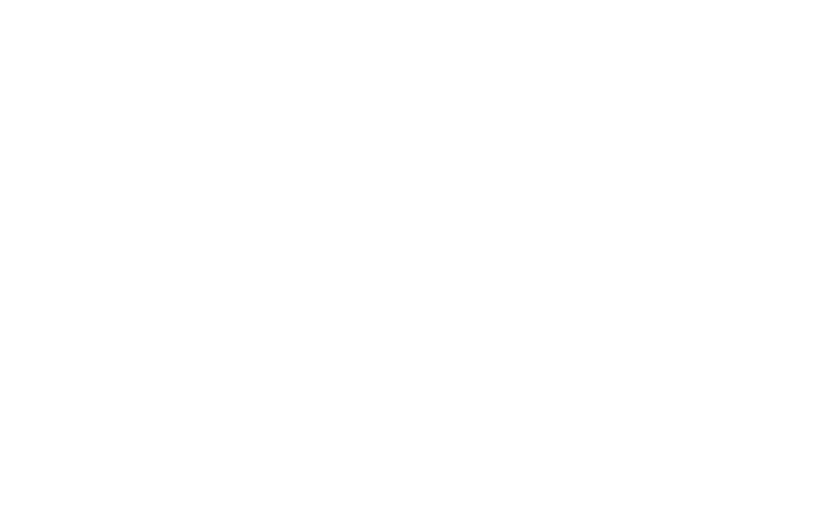 秋田犬5