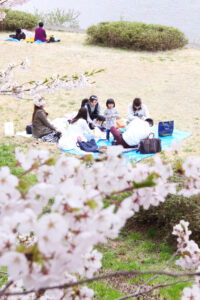 お花見
